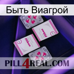 Быть Виагрой 33